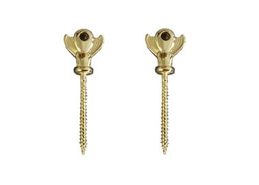 Gold Metal Screw In Coffin American Style , Coffins And Caskets Accessories